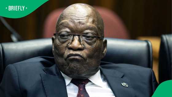South Africans weigh in as Jacob Zuma prepares to challenge Helen Zille in 2026 elections