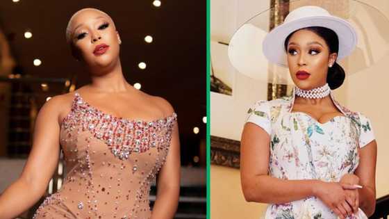 Minnie Dlamini looks like a dream in stunning figure-hugging dress with gold embellishments, fans react