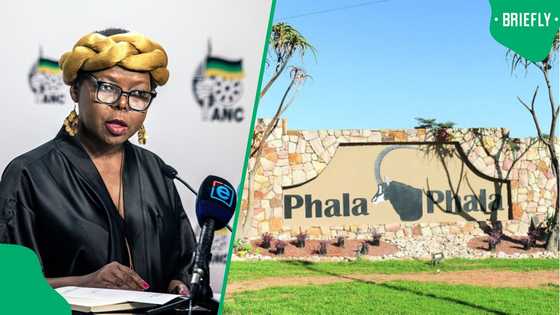 Mahlengi Bhengu says ANC committed to the rule of law following the ConCourt's Phala Phala ruling
