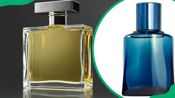 Can you take cologne on a plane? Must-know guidelines you should follow