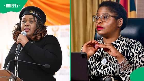 SA applauds Mmamoloko Kubayi for refusing to apologise to Nigerian journalist