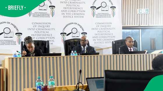 Madlanga Commission of Inquiry witness to testify behind closed doors