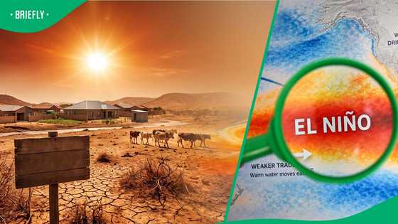El Niño set to bring scorching heat and drought to Limpopo from October