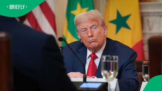 Donald Trump eyes West Africa's mineral wealth during trade talks with 5 leaders, SA annoyed