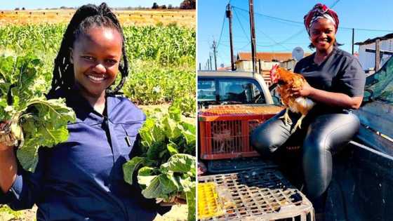 “An inspiration to all”: Cape Town hun excels in male dominated farming industry
