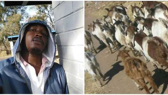 Uneducated farmer shares success story on Twitter