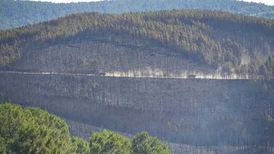 Firefighters contain 'mega-fire' in southern France