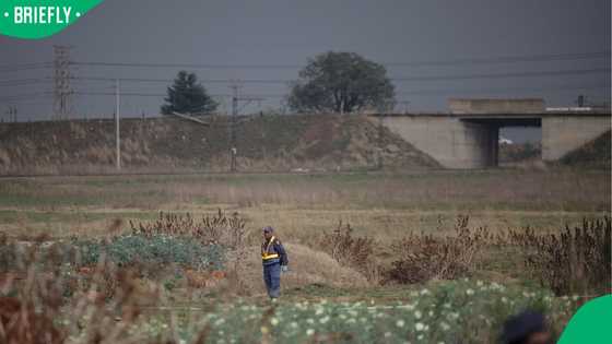 Cape Town police probe burnt body in Delft, South Africans raise concerns about the traumatic scene