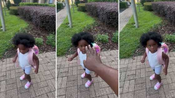 Dad teaches daughter not to let people touch her afro in adorable viral video clip, leaves peeps impressed