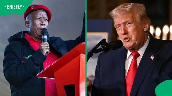Economic Freedom Fighters slam United States President Donald Trump