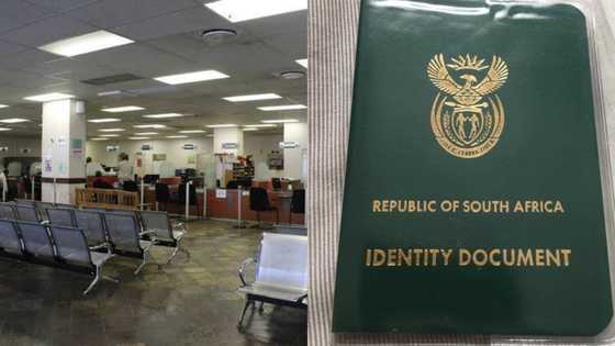 Mozambican refugees in limbo after ID documents allegedly blocked