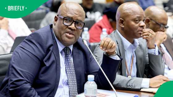 SA government lacks updated data on land owned by foreign nationals, minister admits
