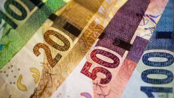 SIU seizes R18m worth of assets from former Transnet exec, including 35 cars