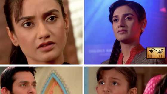 Iron Lady on Zee World: Cast, plot summary, full story, episodes, trailer