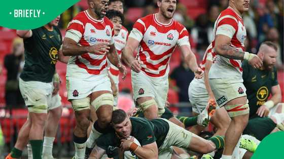 Springboks outshine Japan in thrilling London Test
