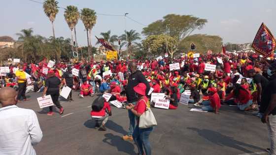 Carnival-like mood as EFF members prepare for march in Phoenix