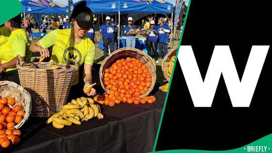 "Awesome and inspirational": Woolworths donates Cape Town marathon food to 18 charities, SA moved