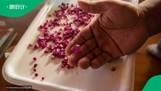 52 million US dollars generated from auction of rubies mined in Mozambique