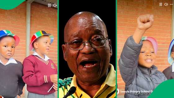 "Zuma's problem with numbers": Grade R learners represent Mzansi's democratic presidents, SA amused