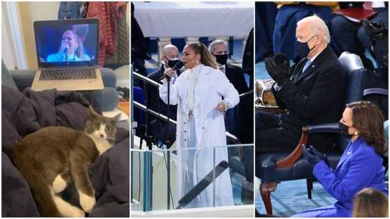Biden inauguration: Cat's reaction to JLo's performance goes viral