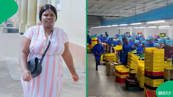 "This increases productivity": Magumba dance takes over factory floor during shift, SA entertained