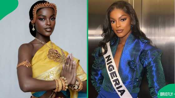Chidimma Adetshina's lawyer Stefanie de Saude-Darbandi rejects conflict-of-interest claims