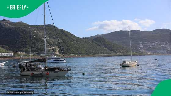 New study finds pharmaceuticals, pesticides and heavy metals contaminating False Bay waters