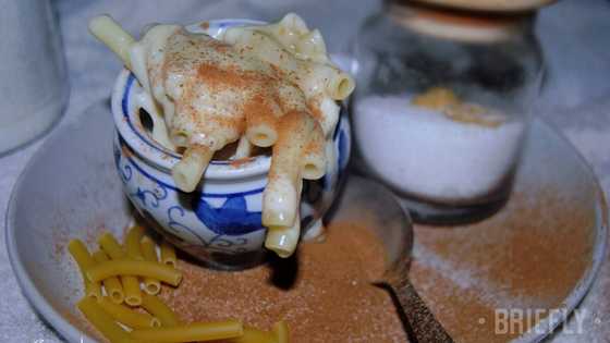 Maklike melkkos resep: met pasta of met kondensmelk in die mikrogolf of op die stoof
