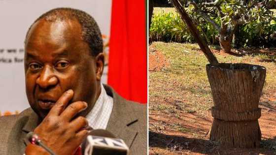 Tito Mboweni reminiscing on good old days shares pic of wooden trunk his mother and sister ground mielies in