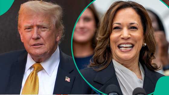 BREAKING: Trump declares victory in US election; Harris yet to concede