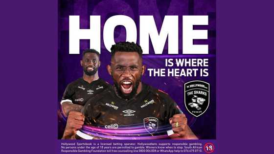 Siya Kolisi, 2-time winning Rugby World Cup Springbok captain, makes welcome return to The Sharks