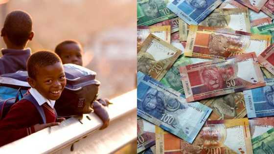 R460 child grant far below the required R624 a month to survive in South Africa
