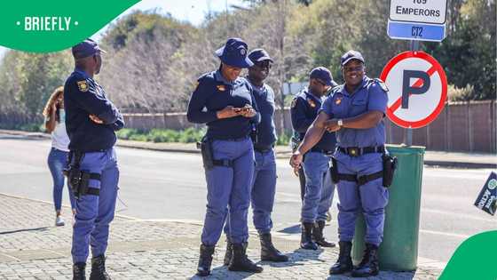 Political suspension of police officer divides South Africans over SAPS rules