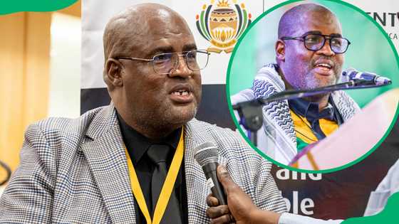 Meet Mzwanele Nyhontso: From PAC leader to Land Reform Minister in GNU