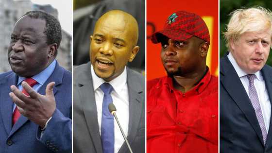South African politicians weigh in on Boris Johnson's resignation, some say Ramaphosa is next