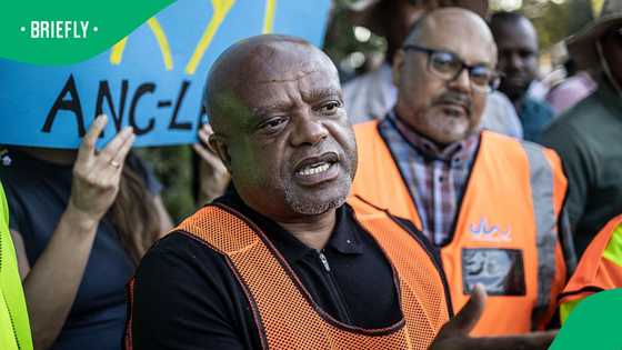 DA calls on government to probe Dada Morero's multi-milion agreement with SAMWU