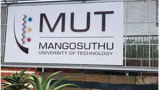 Mangosuthu University of Technology online application: courses, fees, requirements