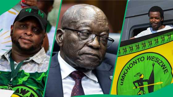 GNU, ANC losing majority and 3 major political stories that rocked 2024