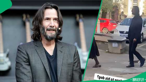 “Who took his dog now?”: John Wick lookalike spotted in Pietermaritzburg