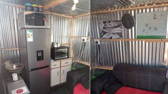Mzansi stans man's fully furnished shack, peeps blown away by organisation skills
