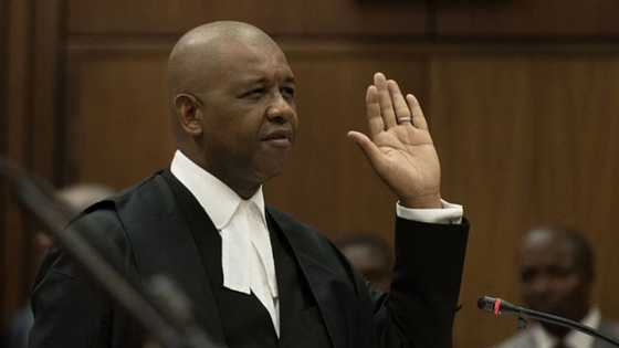 Dali Mpofu says HSF, Zondo Commission has no business opposing Zuma's legal bid