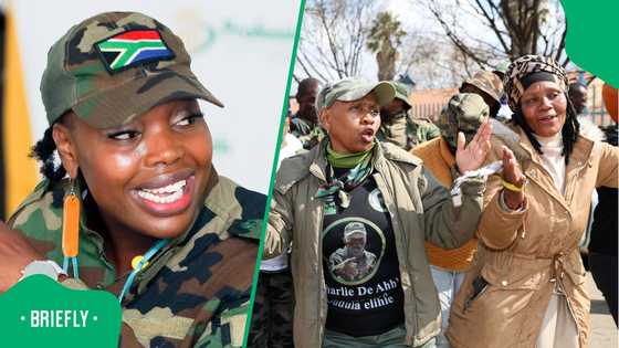 Operation Dudula slammed as it hits public schools to remove foreign nationals' children