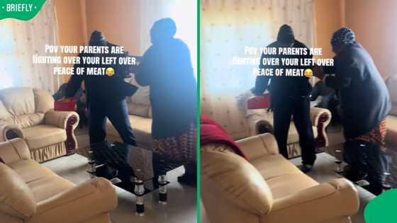 “Reached sibling mode”: Eastern Cape parents’ fight for last piece of chicken leaves SA in stitches