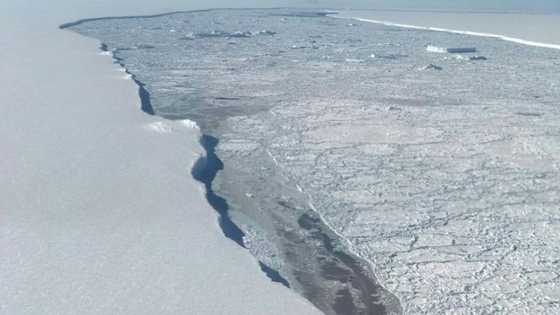 World's biggest ice sheet could cause massive sea rise without action: study