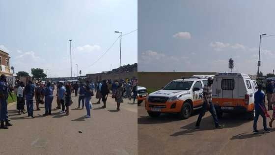 Churchgoers allegedly attack police after holding large gathering