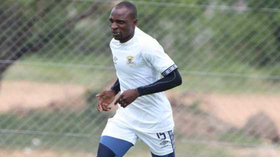 Chippa United: Gavin Hunt signs veteran striker Rodney Ramagalela