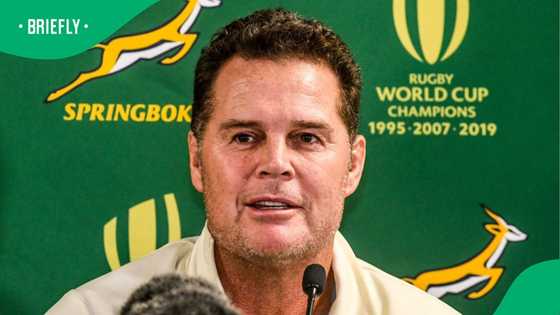 Rassie Erasmus to receive South Africa’s highest national honour after Springboks glory