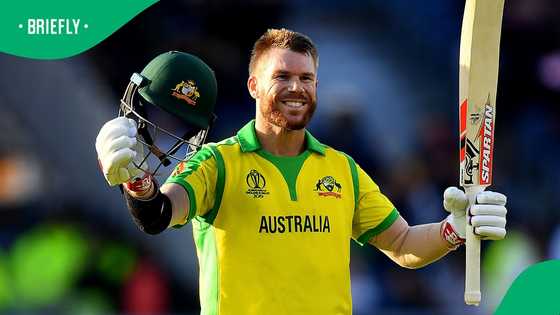 David Warner charged after alleged drunk-driving incident sparks controversy