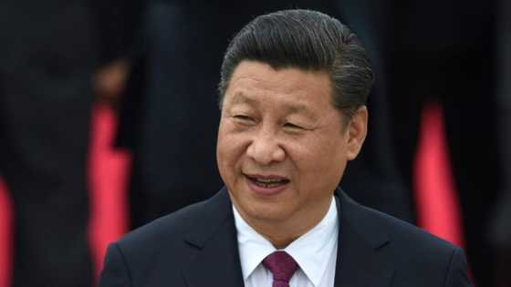 Chinese leader Xi Jinping to attend Hong Kong celebration: Xinhua