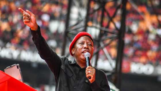 Legal expert disputes that Julius Malema must apologise for criticism of Magistrate Twanet Olivier